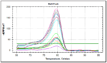 Click here to view Large image 5