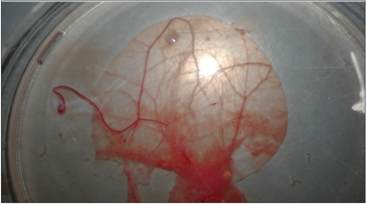 Click here to view Large image 1