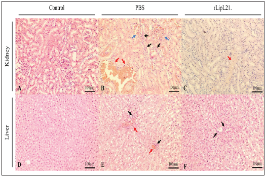 Click here to view Large image 5