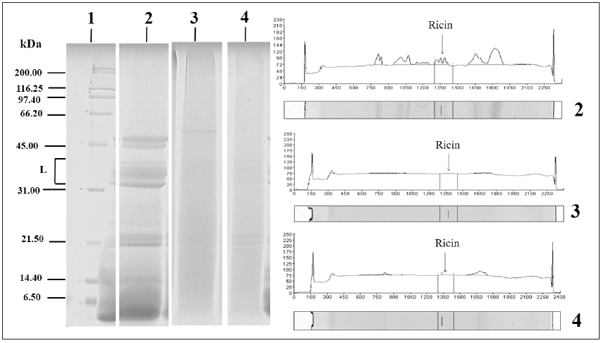Click here to view Large image 1
