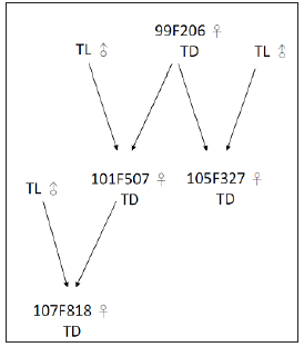 Click here to view Large image 1