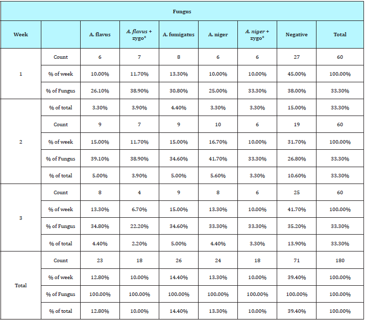 Click here to view Large table 1
