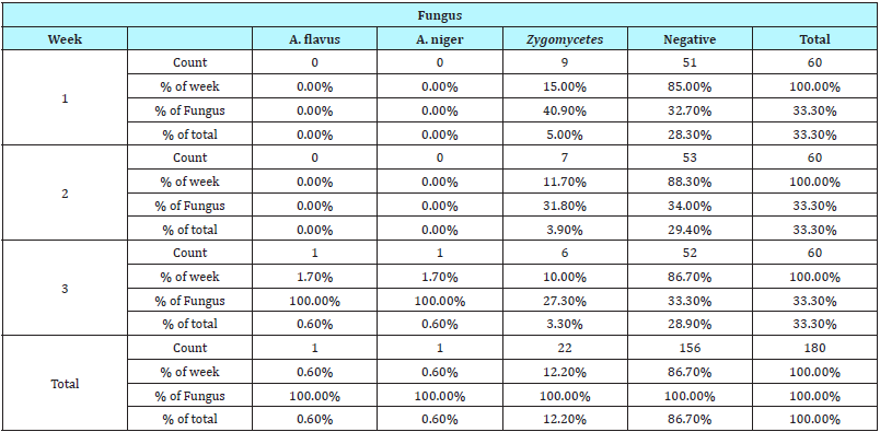 Click here to view Large table 2