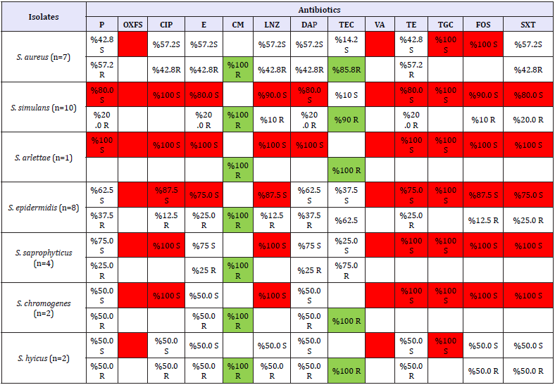 Click here to view Large table 4