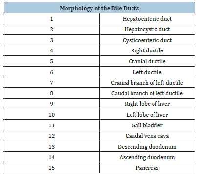 Click here to view Large table 1
