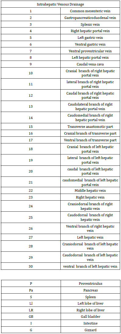 Click here to view Large table 3
