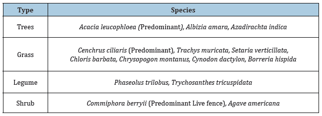 Click here to view Large table 1
