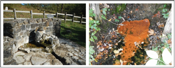 Click here to view Large image 1