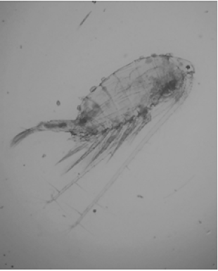 Click here to view Large image 3