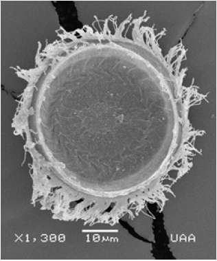 Click here to view Large image 4