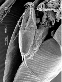 Click here to view Large image 7