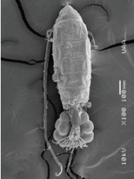 Click here to view Large image 12