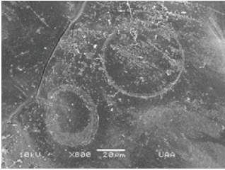 Click here to view Large image 18