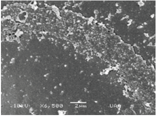 Click here to view Large image 19