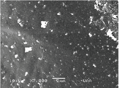 Click here to view Large image 20