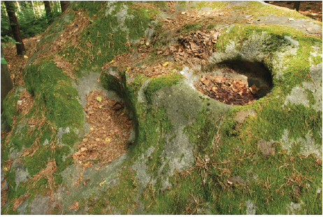 Click here to view Large image 4