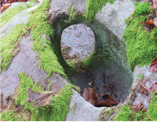 Click here to view Large image 5