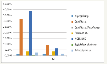 Click here to view Large image 2