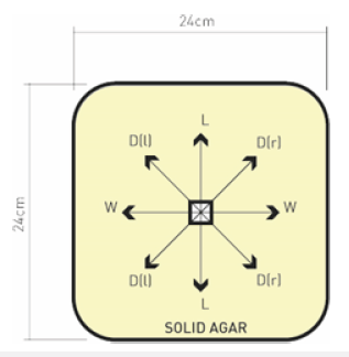 Click here to view Large image 1