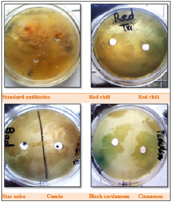 Click here to view Large image 8
