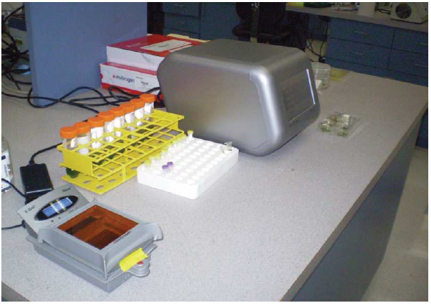 Click here to view Large image 1