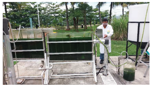 Click here to view Large image 2