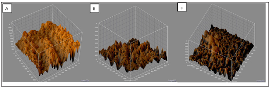 Click here to view Large image 10