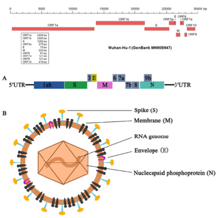 Click here to view Large image 3