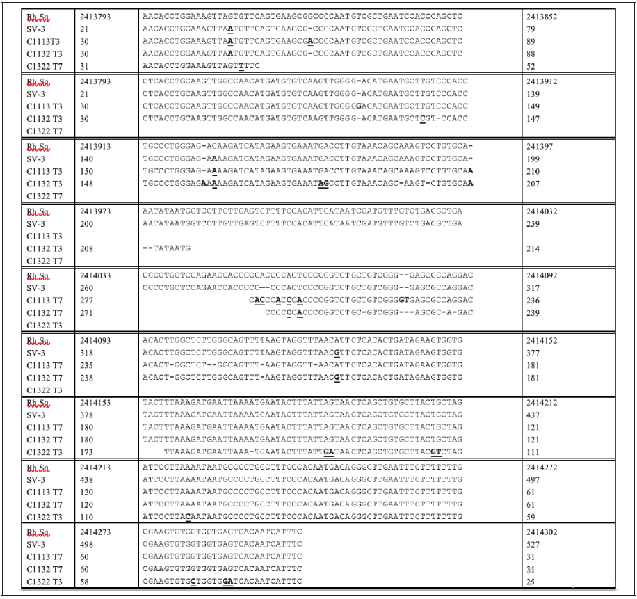 Click here to view Large image 1