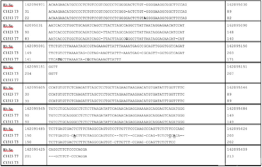 Click here to view Large image 2