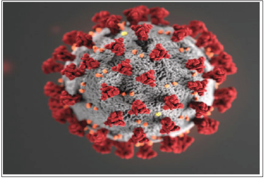 Click here to view Large image 1