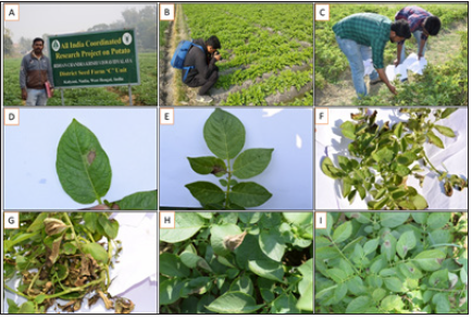 Click here to view Large image 1