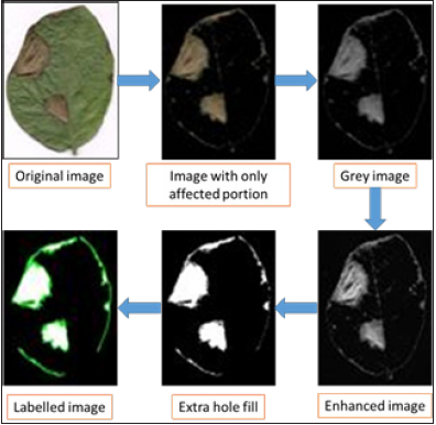 Click here to view Large image 4