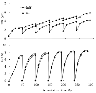 Click here to view Large image 1