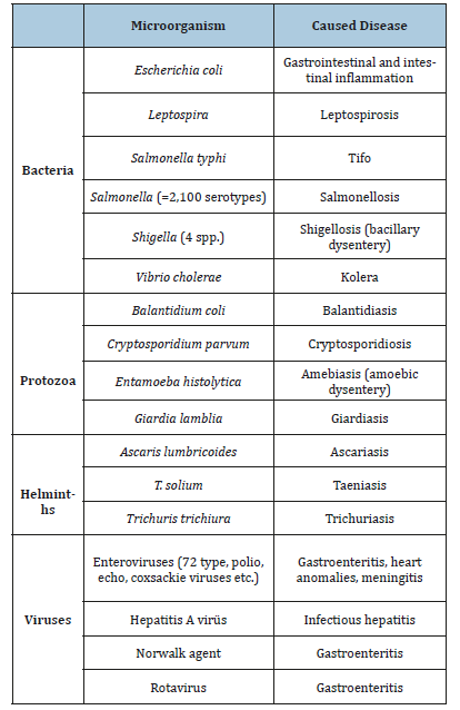Click here to view Large table 1