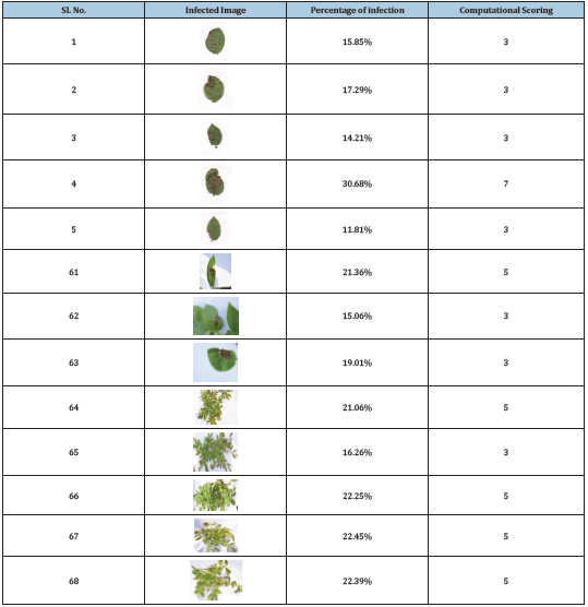 Click here to view Large table 3