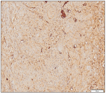 Click here to view Large image 2