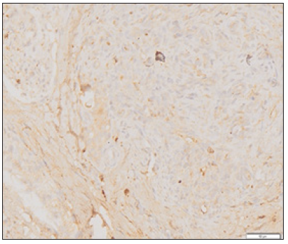 Click here to view Large image 3