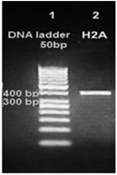 Click here to view Large image 3