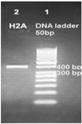 Click here to view Large image 4