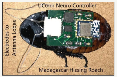 Click here to view Large image 1