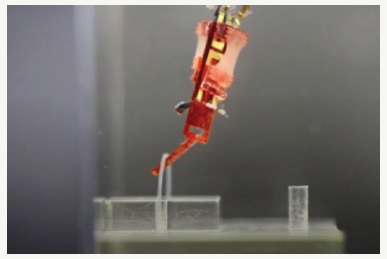 Click here to view Large image 2