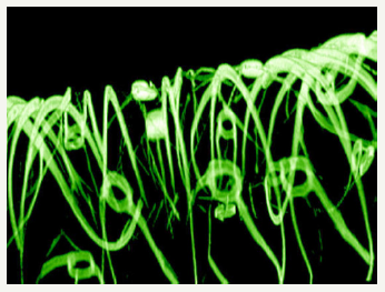 Click here to view Large image 3