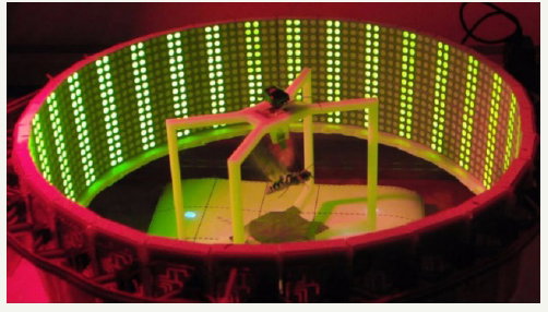 Click here to view Large image 5