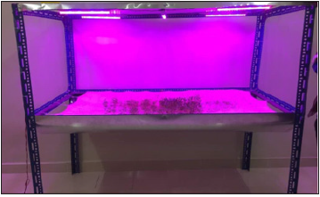 Click here to view Large image 2