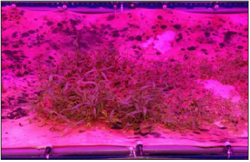 Click here to view Large image 3