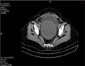 Click here to view Large Figure 3
