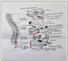 Click here to view Large image 1