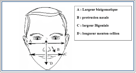 Click here to view Large image 1