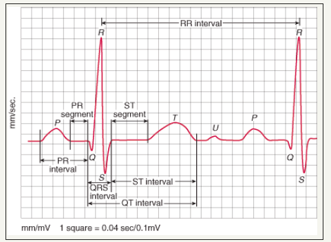 Click here to view Large image 1